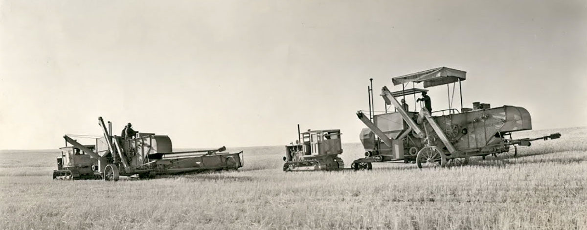 Barnes dryland wheat operation in 1935